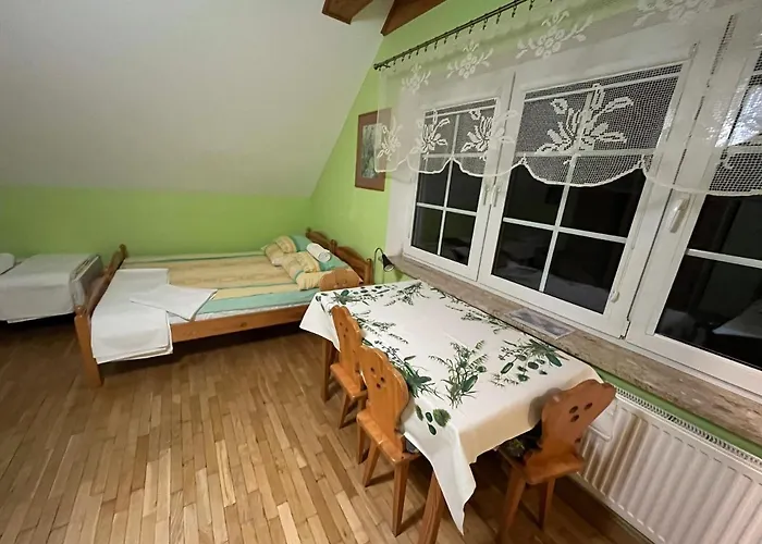 Malinowka Guest house *